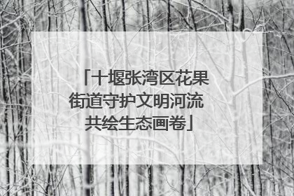 十堰张湾区花果街道守护文明河流 共绘生态画卷