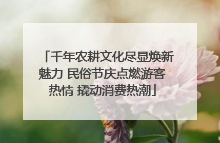 千年农耕文化尽显焕新魅力 民俗节庆点燃游客热情 撬动消费热潮