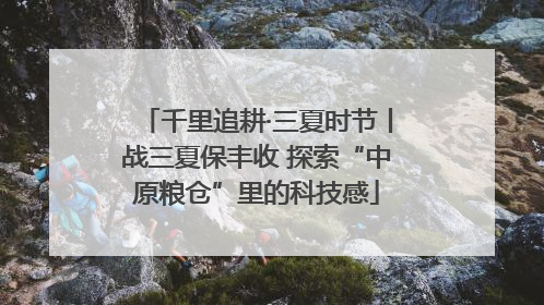 千里追耕·三夏时节丨战三夏保丰收 探索“中原粮仓”里的科技感
