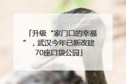 升级“家门口的幸福”，武汉今年已新改建70座口袋公园