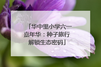 华中里小学六一嘉年华：种子旅行解锁生态密码