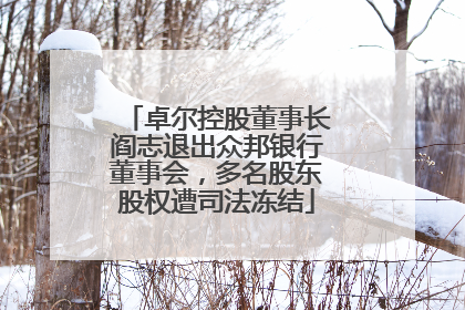 卓尔控股董事长阎志退出众邦银行董事会，多名股东股权遭司法冻结