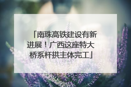 南珠高铁建设有新进展！广西这座特大桥系杆拱主体完工