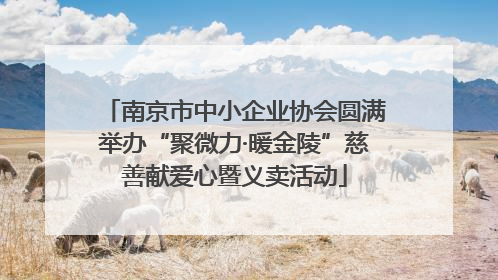 南京市中小企业协会圆满举办“聚微力·暖金陵”慈善献爱心暨义卖活动