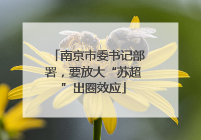 南京市委书记部署，要放大“苏超”出圈效应