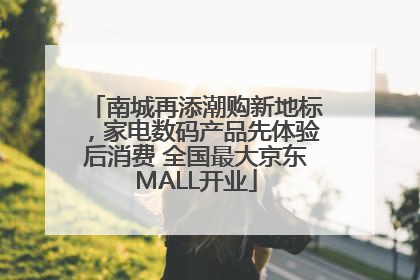 南城再添潮购新地标，家电数码产品先体验后消费 全国最大京东MALL开业