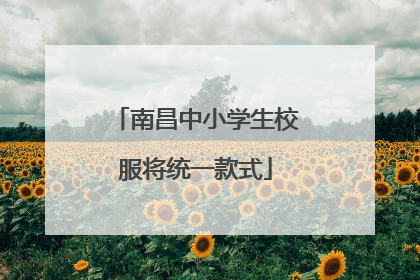南昌中小学生校服将统一款式