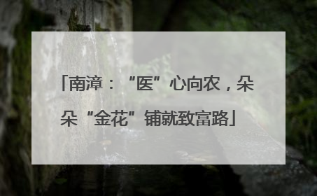 南漳：“医”心向农，朵朵“金花”铺就致富路