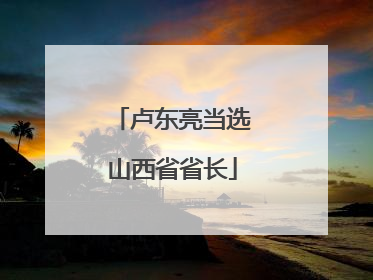 卢东亮当选山西省省长