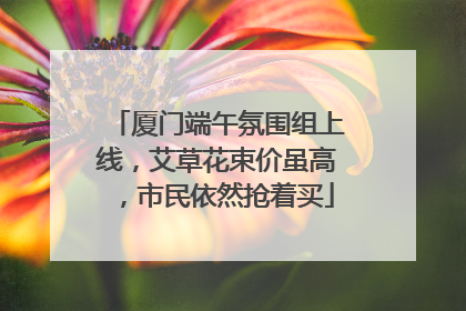 厦门端午氛围组上线，艾草花束价虽高，市民依然抢着买