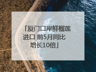 厦门口岸鲜榴莲进口 前5月同比增长10倍