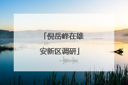 倪岳峰在雄安新区调研