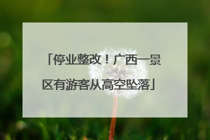 停业整改！广西一景区有游客从高空坠落