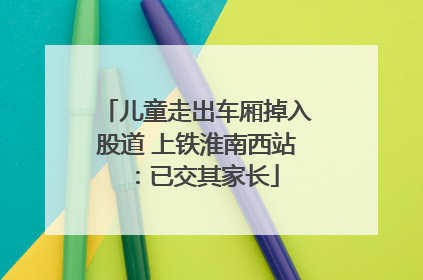 儿童走出车厢掉入股道 上铁淮南西站：已交其家长