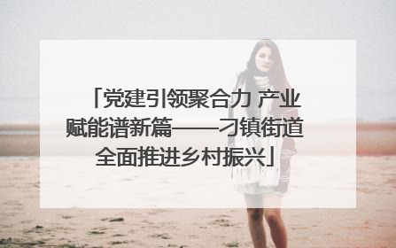 党建引领聚合力 产业赋能谱新篇——刁镇街道全面推进乡村振兴