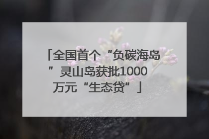 全国首个“负碳海岛”灵山岛获批1000万元“生态贷”
