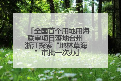 全国首个用地用海联审项目落地台州 浙江探索“地林草海”审批一次办
