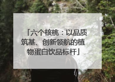 六个核桃：以品质筑基、创新领航的植物蛋白饮品标杆