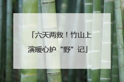 六天两救！竹山上演暖心护“野”记