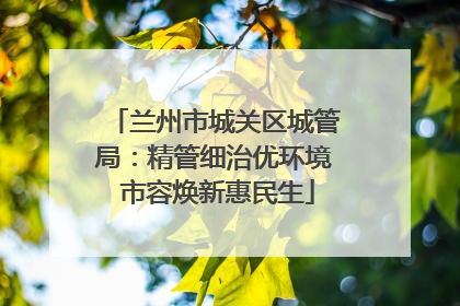 兰州市城关区城管局：精管细治优环境 市容焕新惠民生