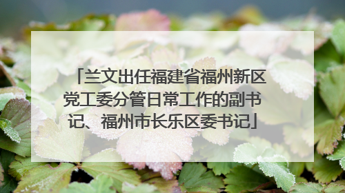 兰文出任福建省福州新区党工委分管日常工作的副书记、福州市长乐区委书记