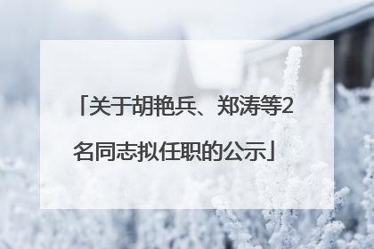 关于胡艳兵、郑涛等2名同志拟任职的公示