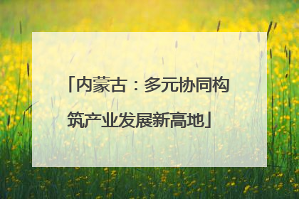 内蒙古：多元协同构筑产业发展新高地
