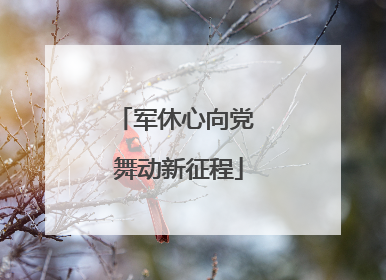 军休心向党 舞动新征程