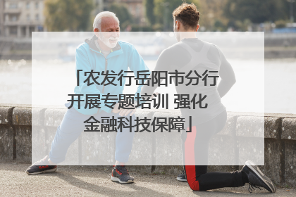 农发行岳阳市分行开展专题培训 强化金融科技保障