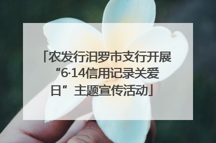 农发行汨罗市支行开展“6·14信用记录关爱日”主题宣传活动