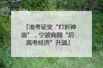 准考证变“打折神器”，宁波商圈“后高考经济”升温