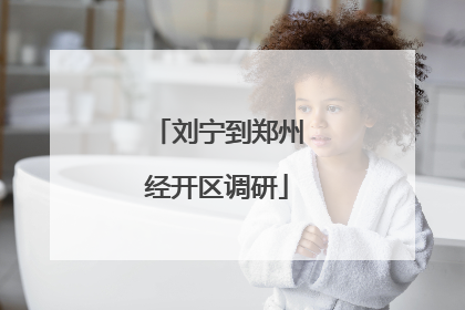 刘宁到郑州经开区调研