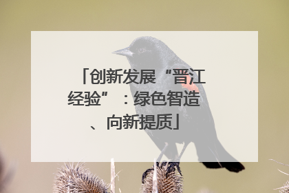 创新发展“晋江经验”：绿色智造、向新提质