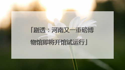 剧透：河南又一重磅博物馆即将开馆试运行