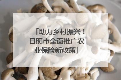 助力乡村振兴！日照市全面推广农业保险新政策