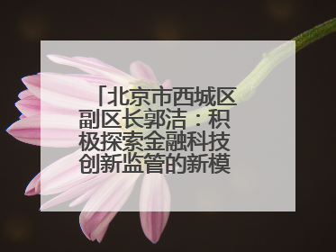 北京市西城区副区长郭洁：积极探索金融科技创新监管的新模式和新方法