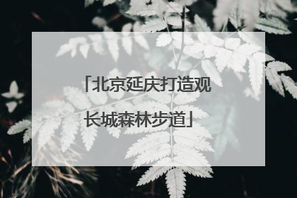 北京延庆打造观长城森林步道