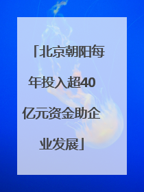 北京朝阳每年投入超40亿元资金助企业发展