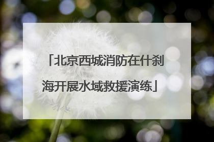 北京西城消防在什刹海开展水域救援演练