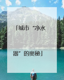 城市“净水器”的奥秘