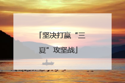 坚决打赢“三夏”攻坚战