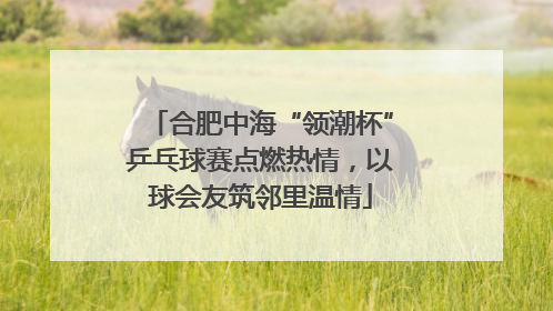 合肥中海“领潮杯”乒乓球赛点燃热情，以球会友筑邻里温情
