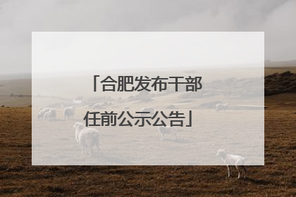 合肥发布干部任前公示公告