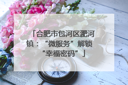 合肥市包河区淝河镇：“微服务”解锁“幸福密码”