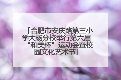 合肥市安庆路第三小学大杨分校举行第六届“和美杯”运动会暨校园文化艺术节