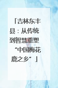 吉林东丰县：从传统到智慧重塑“中国梅花鹿之乡”