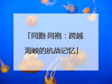 同胞·同袍：跨越海峡的抗战记忆