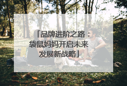 品牌进阶之路：袋鼠妈妈开启未来发展新战略