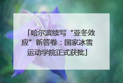 哈尔滨续写“亚冬效应”新答卷：国家冰雪运动学院正式获批