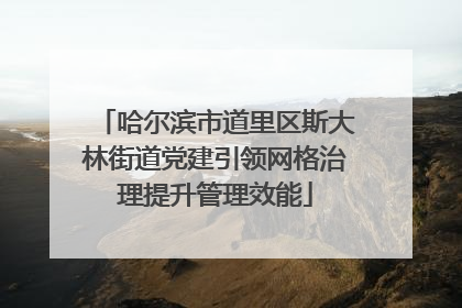 哈尔滨市道里区斯大林街道党建引领网格治理提升管理效能